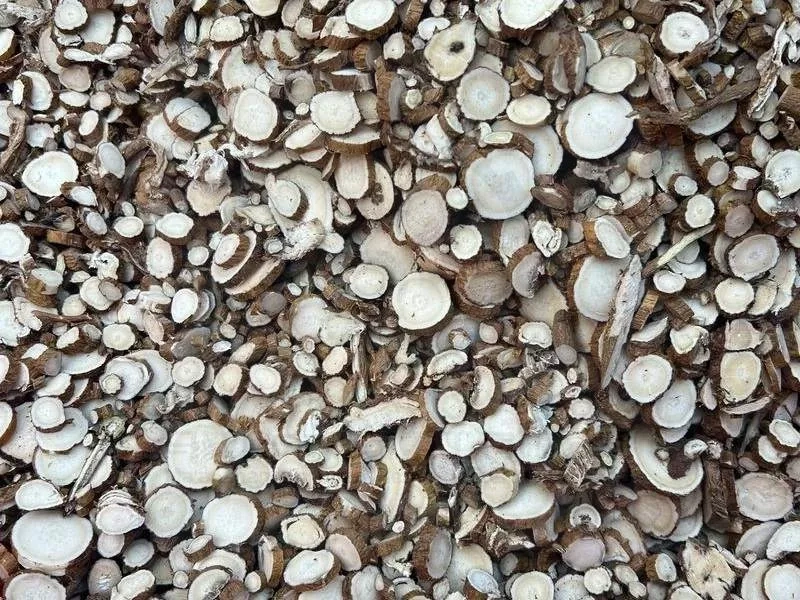 Pharmaceutical Processing